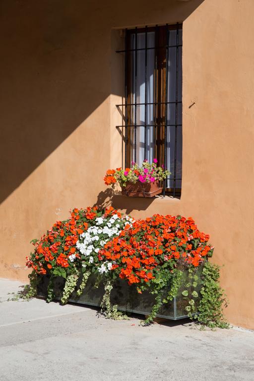 B&B Stradivari Crémone Extérieur photo